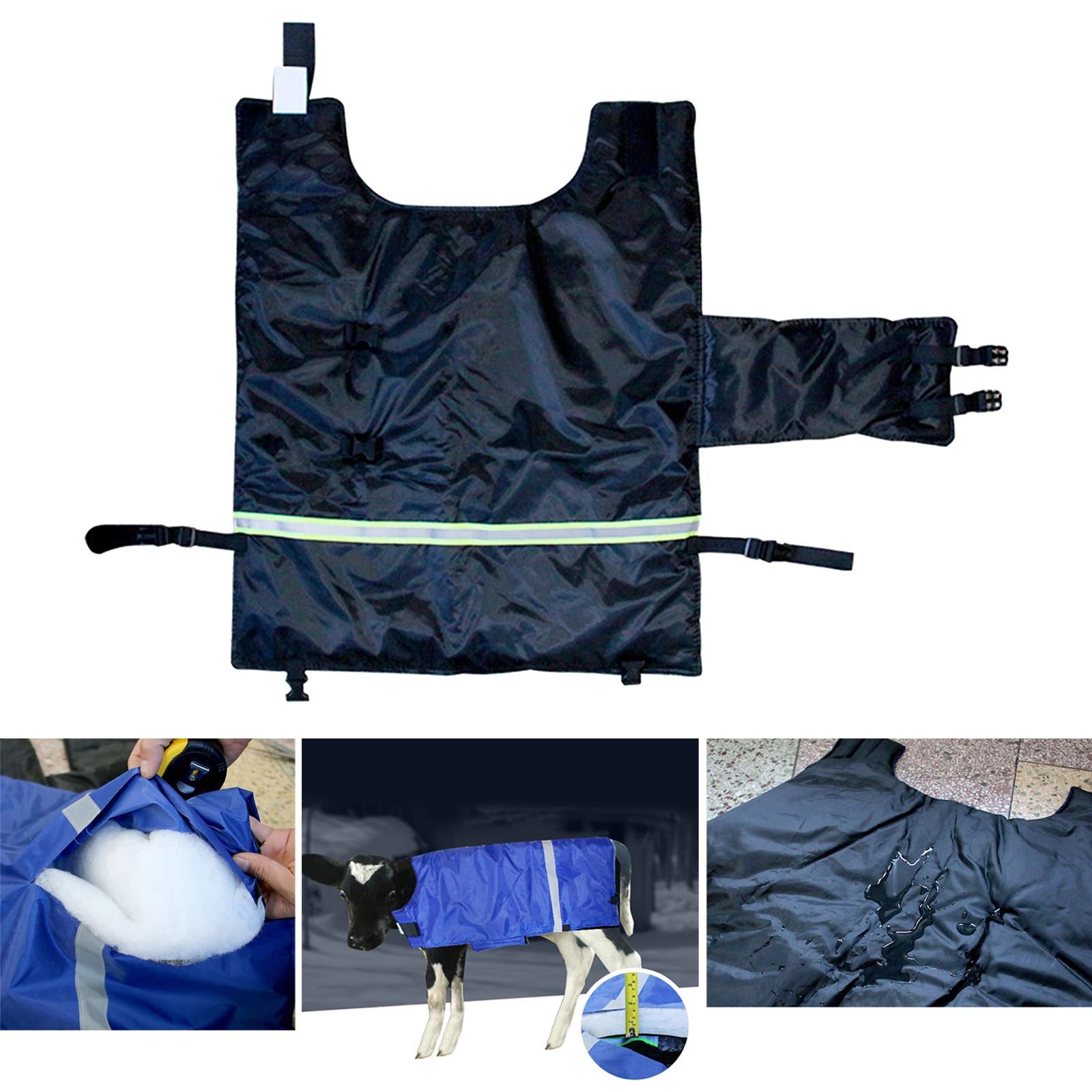 Cow Calf Coat Cotton-Padded with Belly Band Clothing for Keep Warm Farmhouse Black