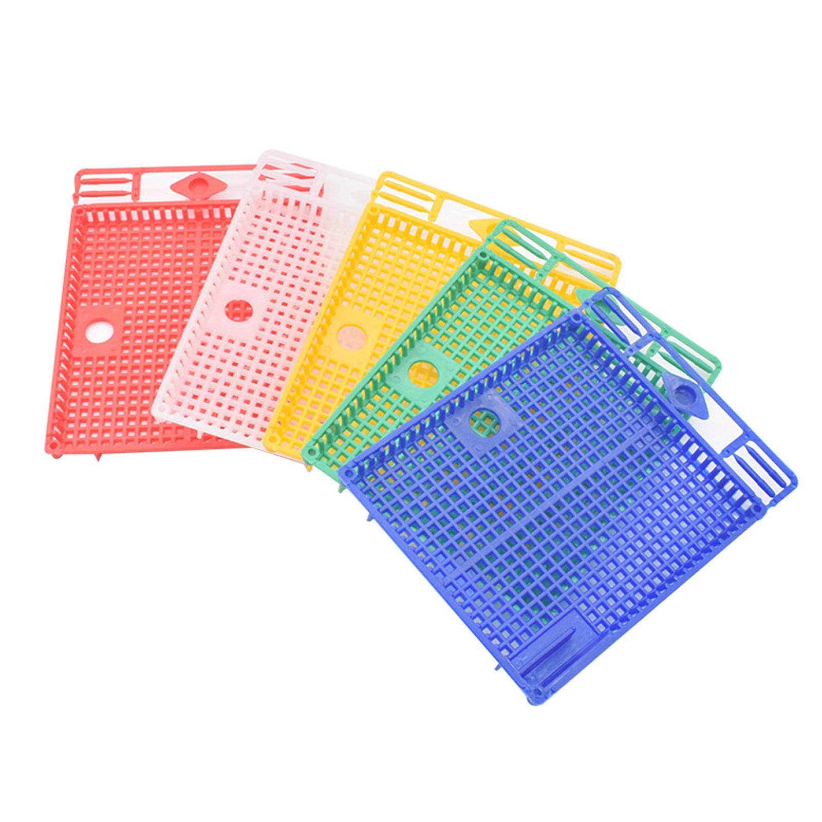 Queen Bee Isolator Introducing Cage Plastic Equipment Reusable Beekeeping Red