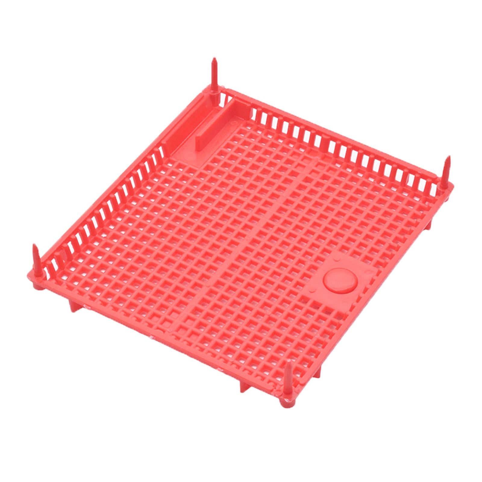 Queen Bee Isolator Introducing Cage Plastic Equipment Reusable Beekeeping Red