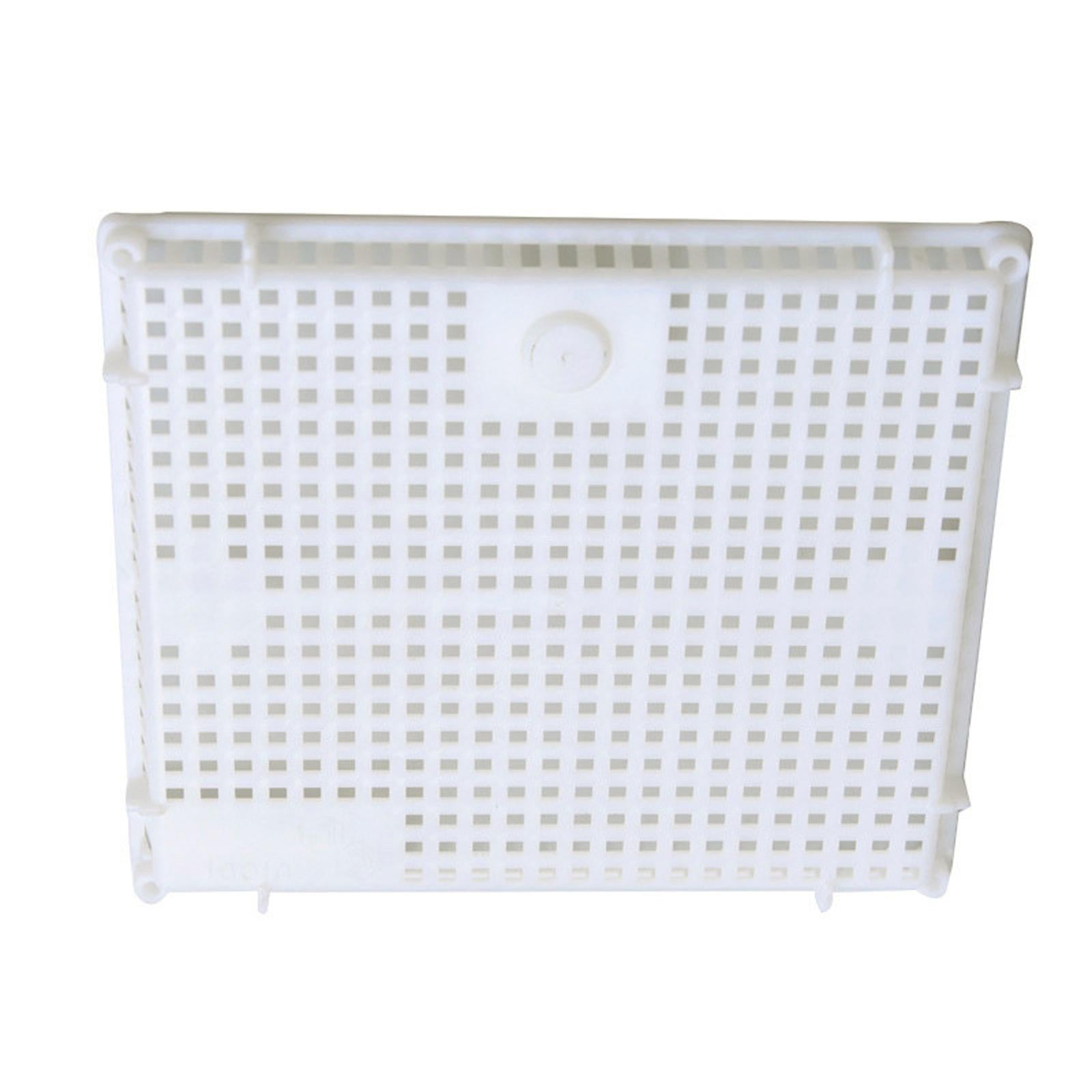 Queen Bee Isolator Introducing Cage Plastic Equipment Reusable Beekeeping White