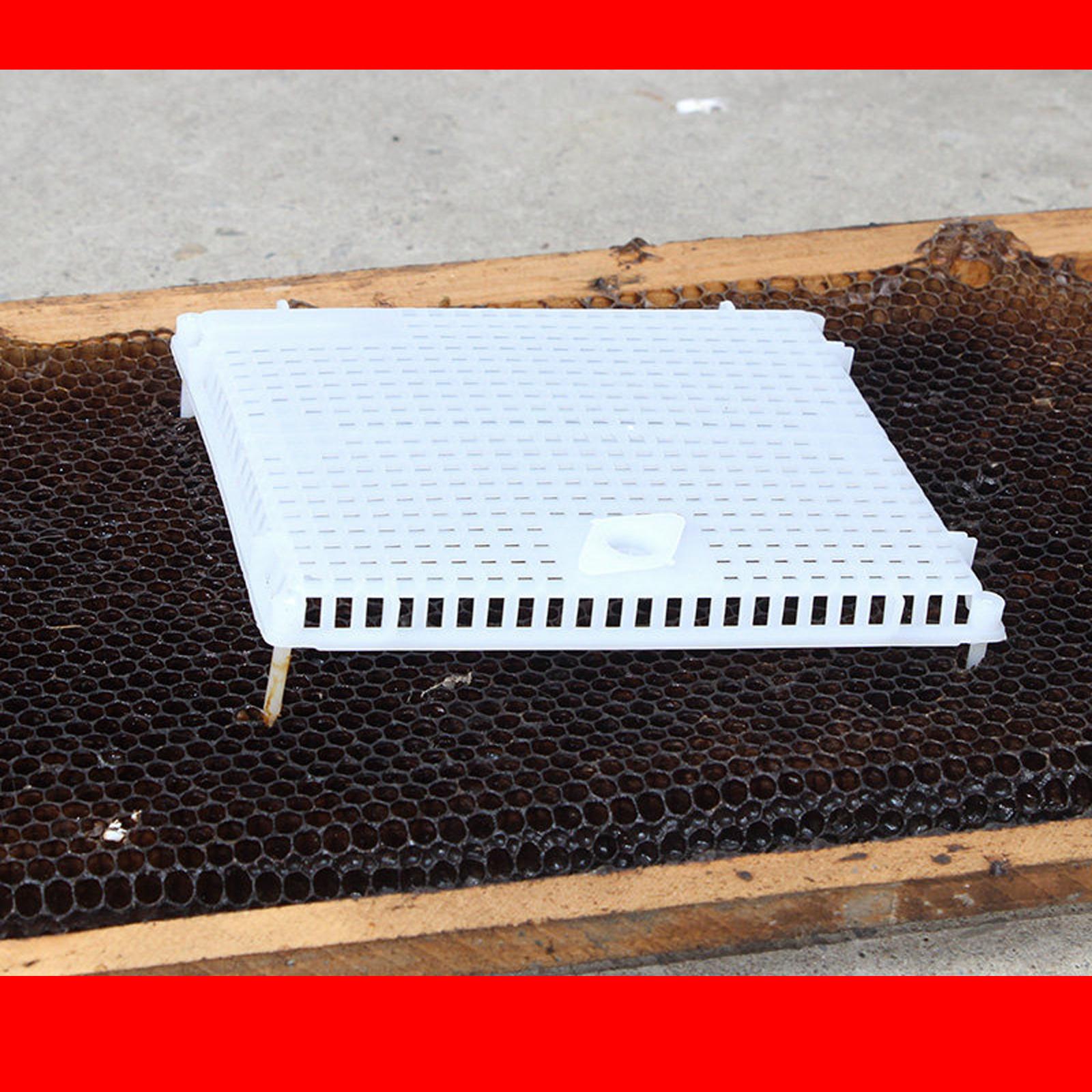 Queen Bee Isolator Introducing Cage Plastic Equipment Reusable Beekeeping White