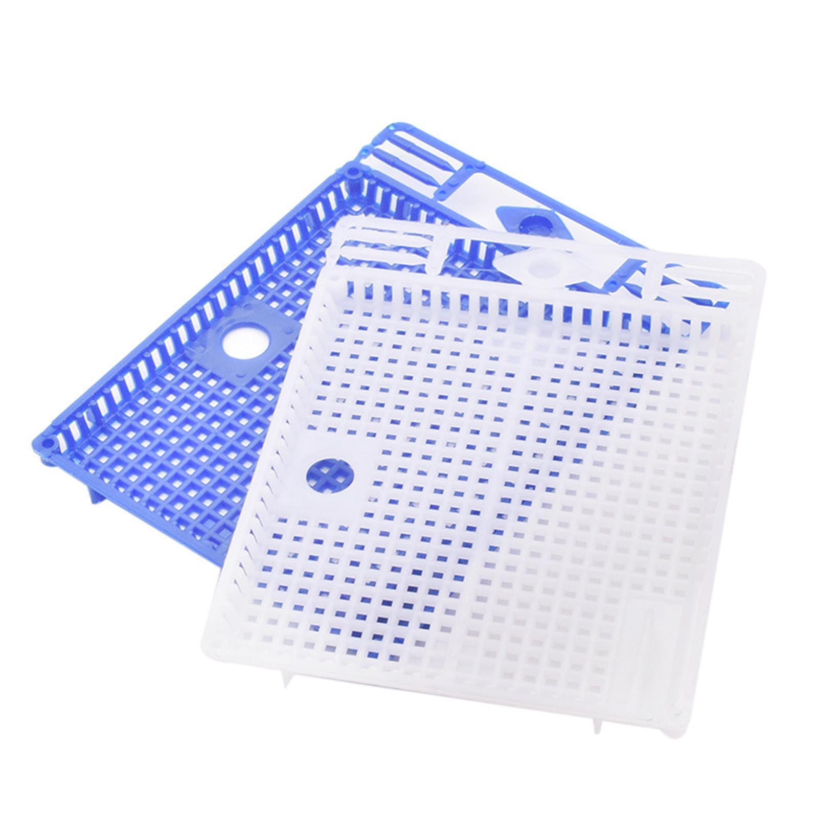 Queen Bee Isolator Introducing Cage Plastic Equipment Reusable Beekeeping Blue