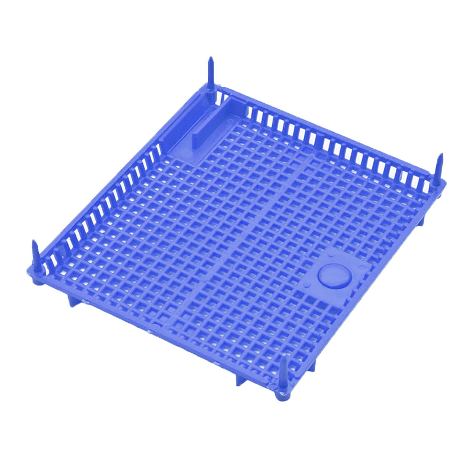 Queen Bee Isolator Introducing Cage Plastic Equipment Reusable Beekeeping Blue