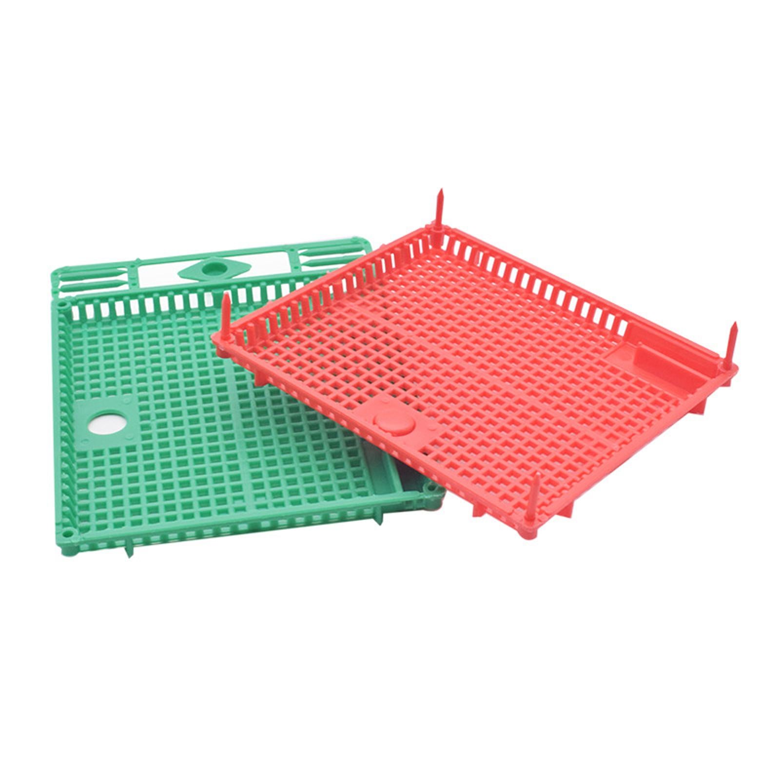 Queen Bee Isolator Introducing Cage Plastic Equipment Reusable Beekeeping Green
