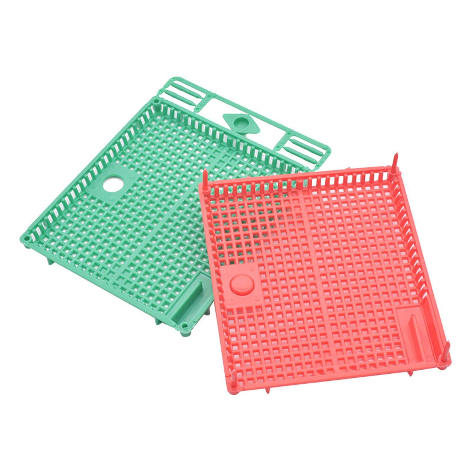 Queen Bee Isolator Introducing Cage Plastic Equipment Reusable Beekeeping Green