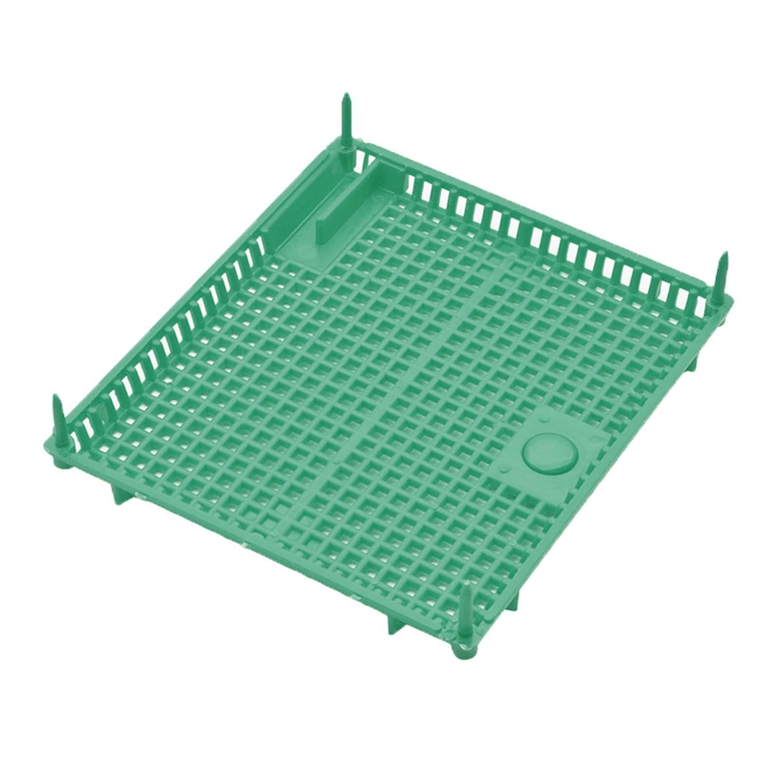 Queen Bee Isolator Introducing Cage Plastic Equipment Reusable Beekeeping Green