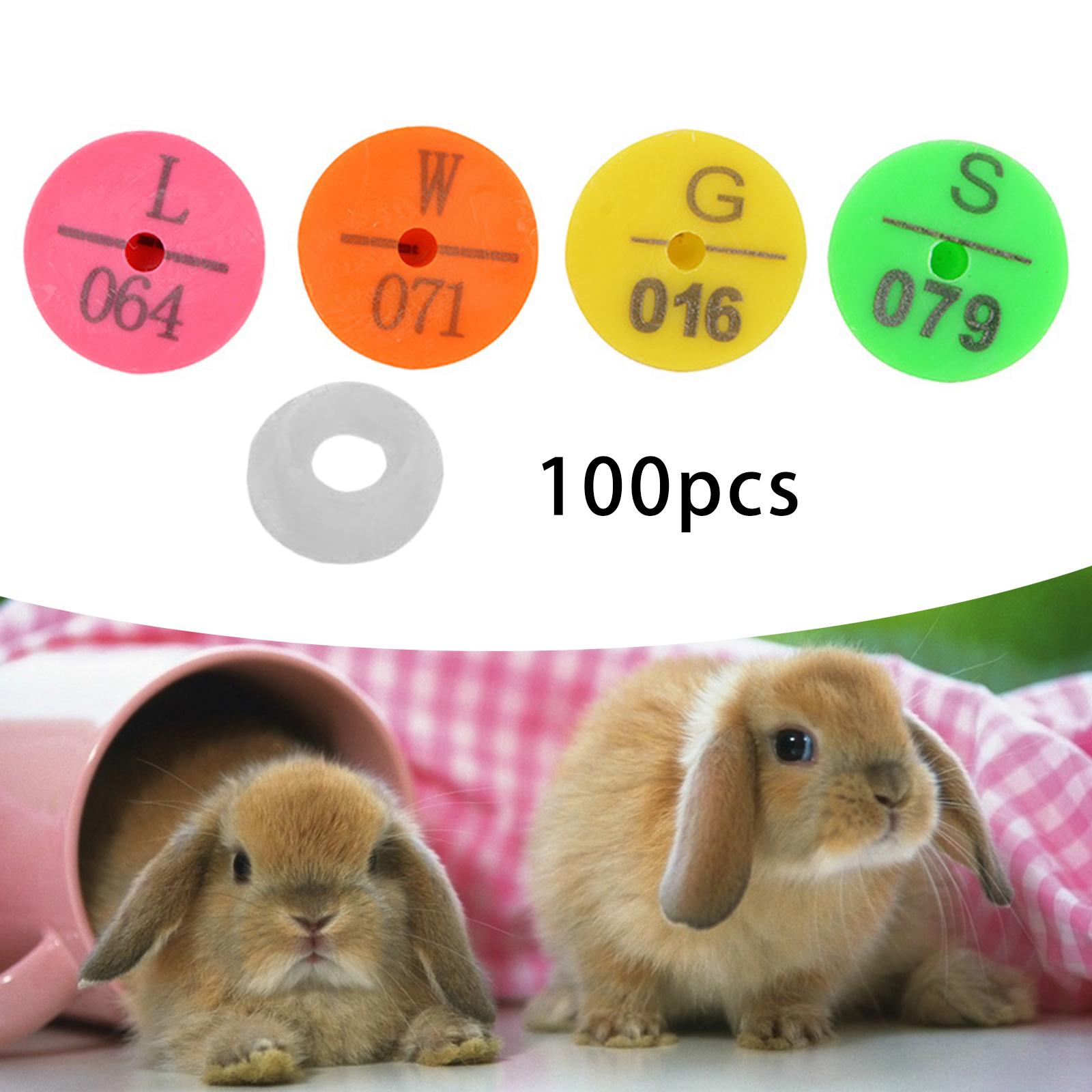 Ear Tag Anti-Shedding Number ABS Rose Red Animal for Livestock Rabbit Pig