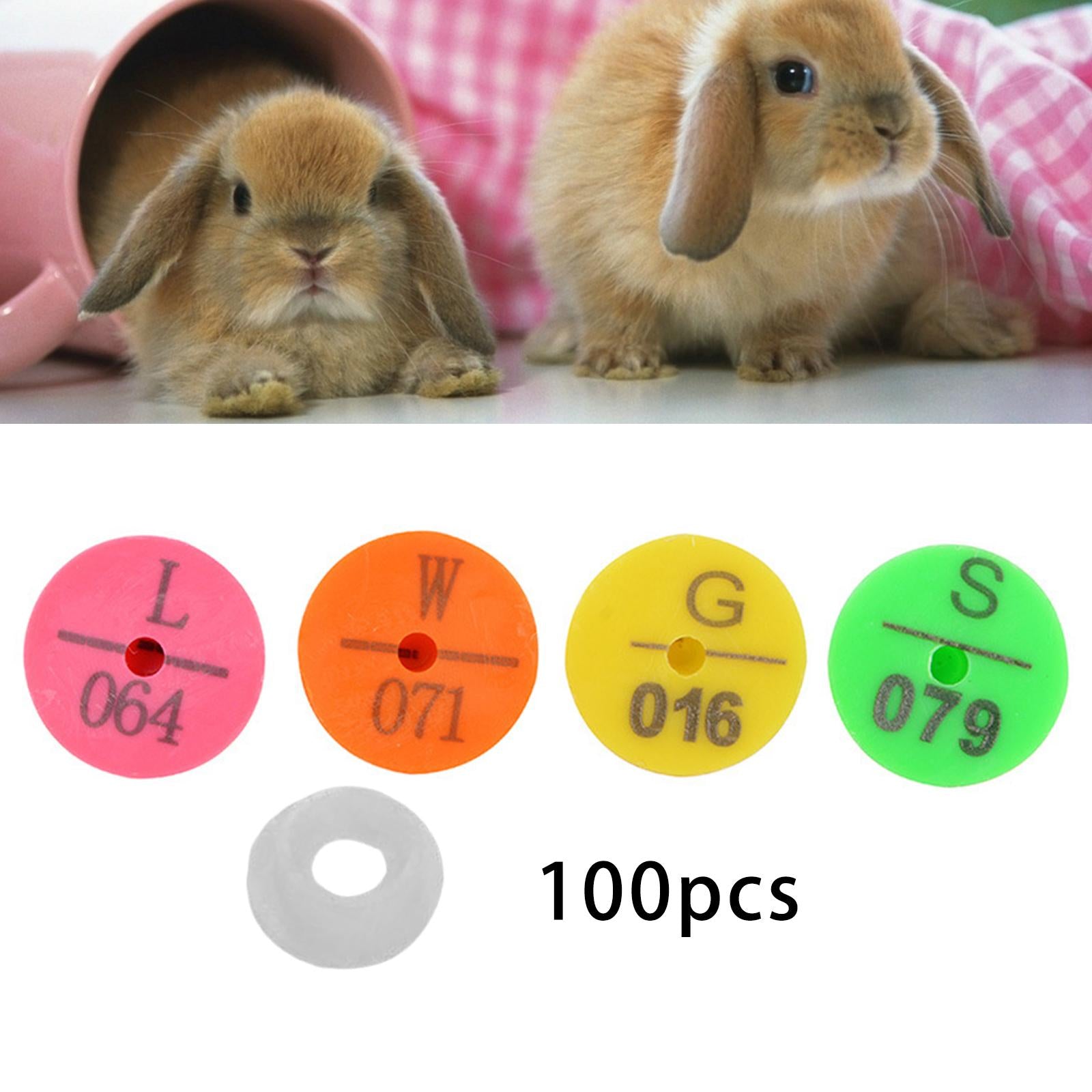 Ear Tag Anti-Shedding Number ABS Rose Red Animal for Livestock Rabbit Pig