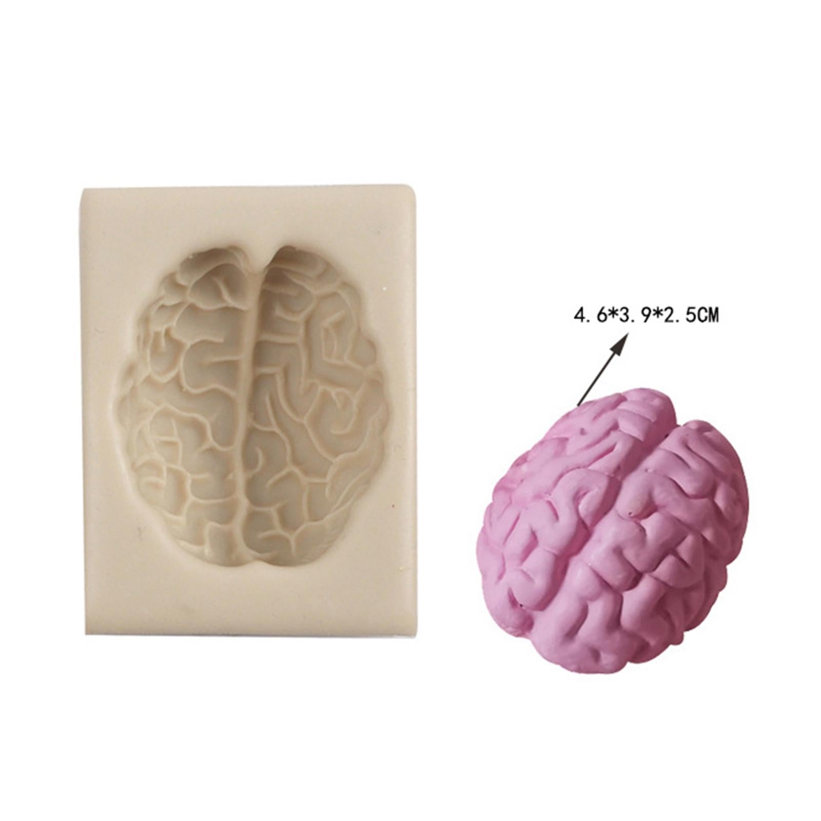 Silicone Fondant Molds DIY Resin Chocolate Mold for Baking Brain Light Gray
