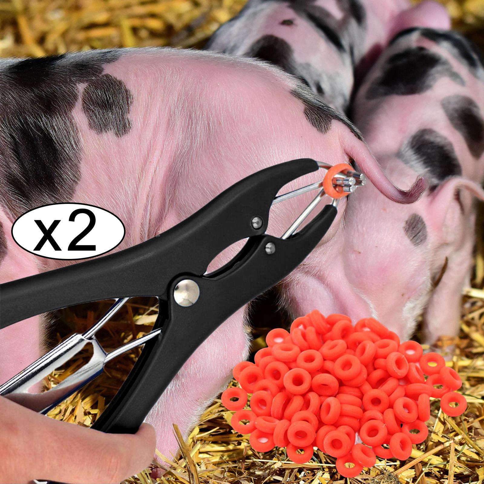 Castration Plier Animal Equipment Tool for Pig Sheep  With 100pcs Rings