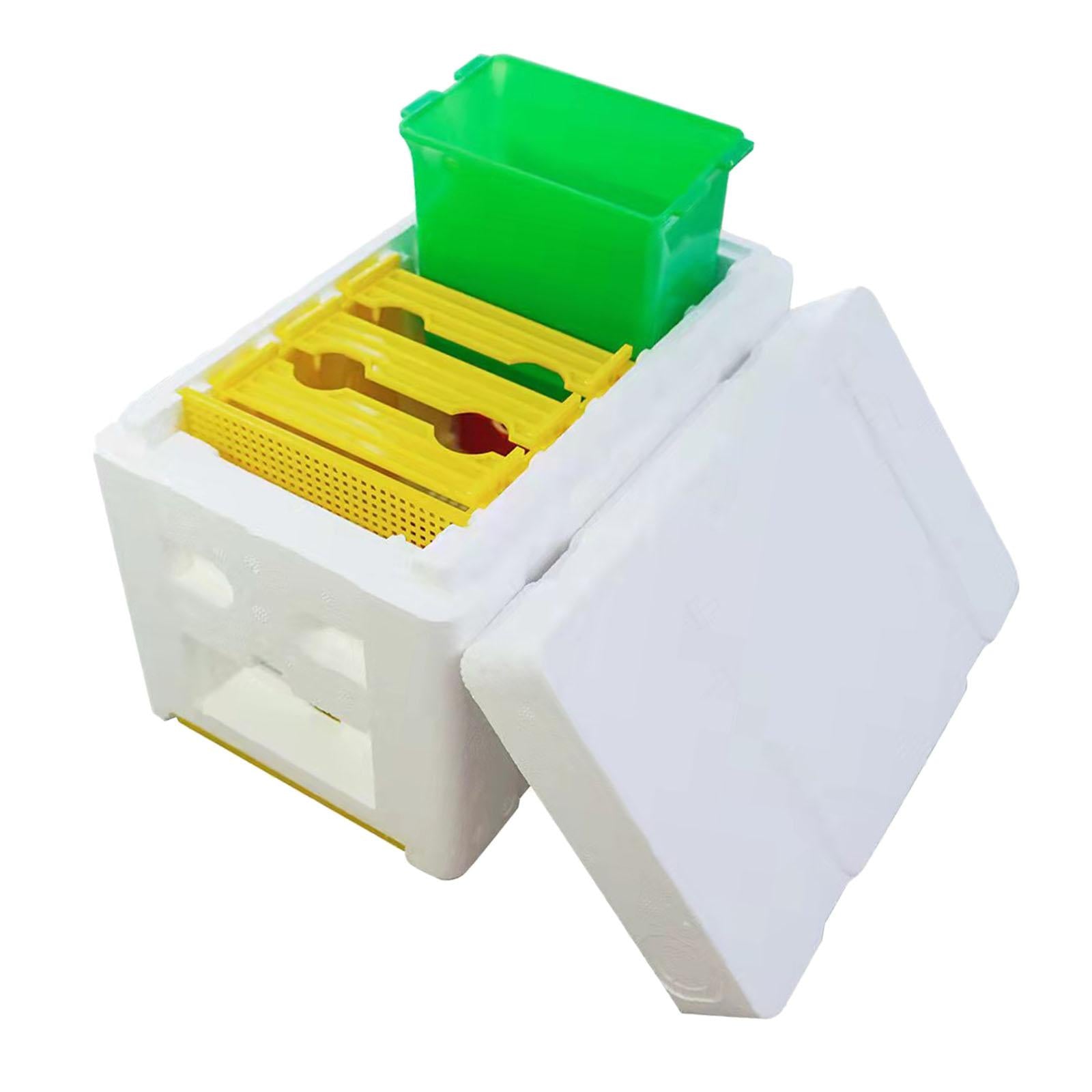 Bee Pollination Box Queen Bee Rearing System Hive Frames DIY Beekeeping