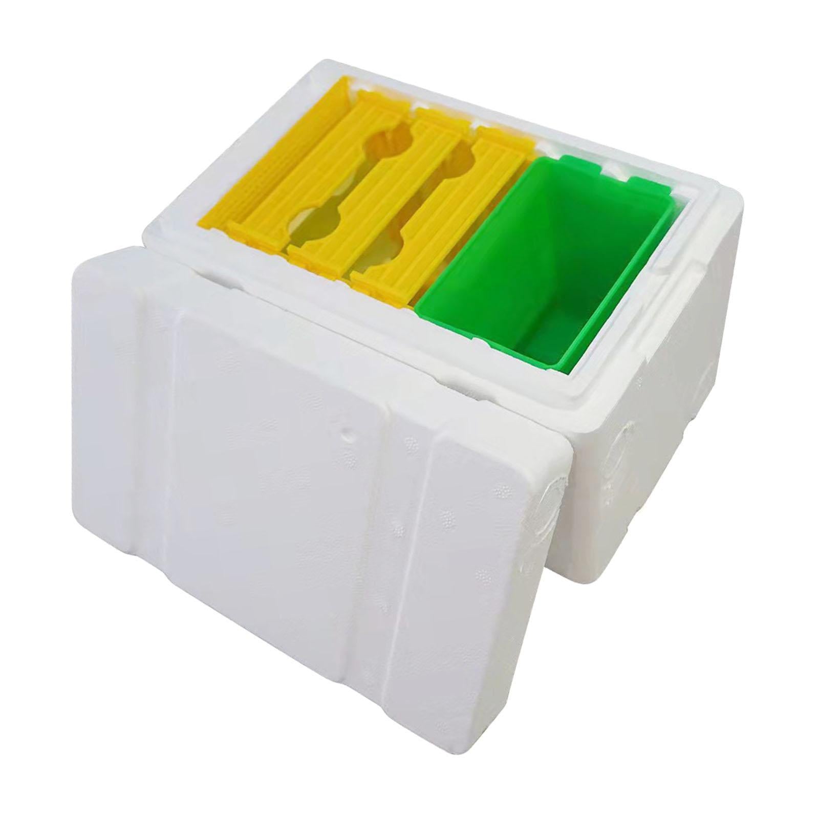Bee Pollination Box Queen Bee Rearing System Hive Frames DIY Beekeeping