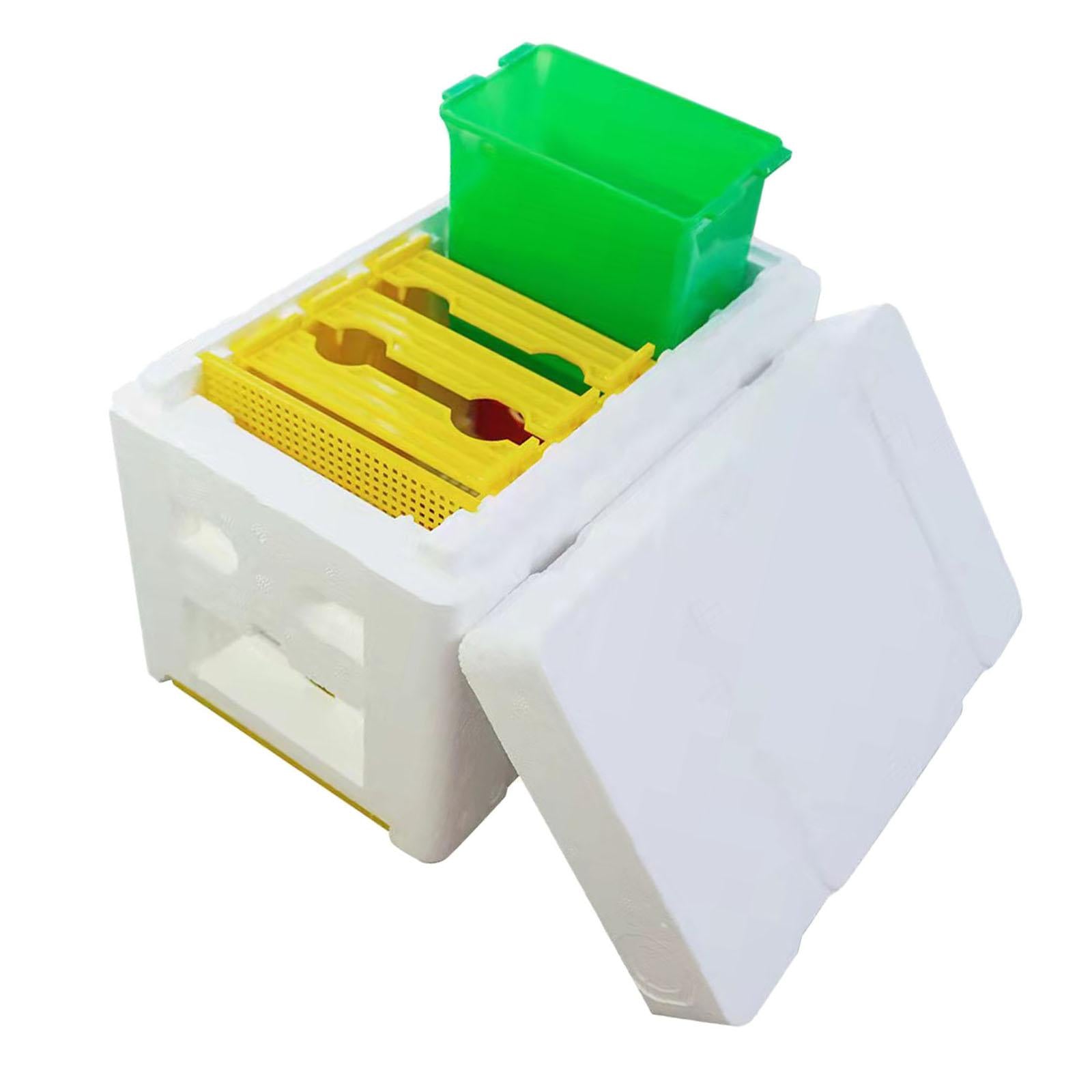Bee Pollination Box Queen Bee Rearing System Hive Frames DIY Beekeeping