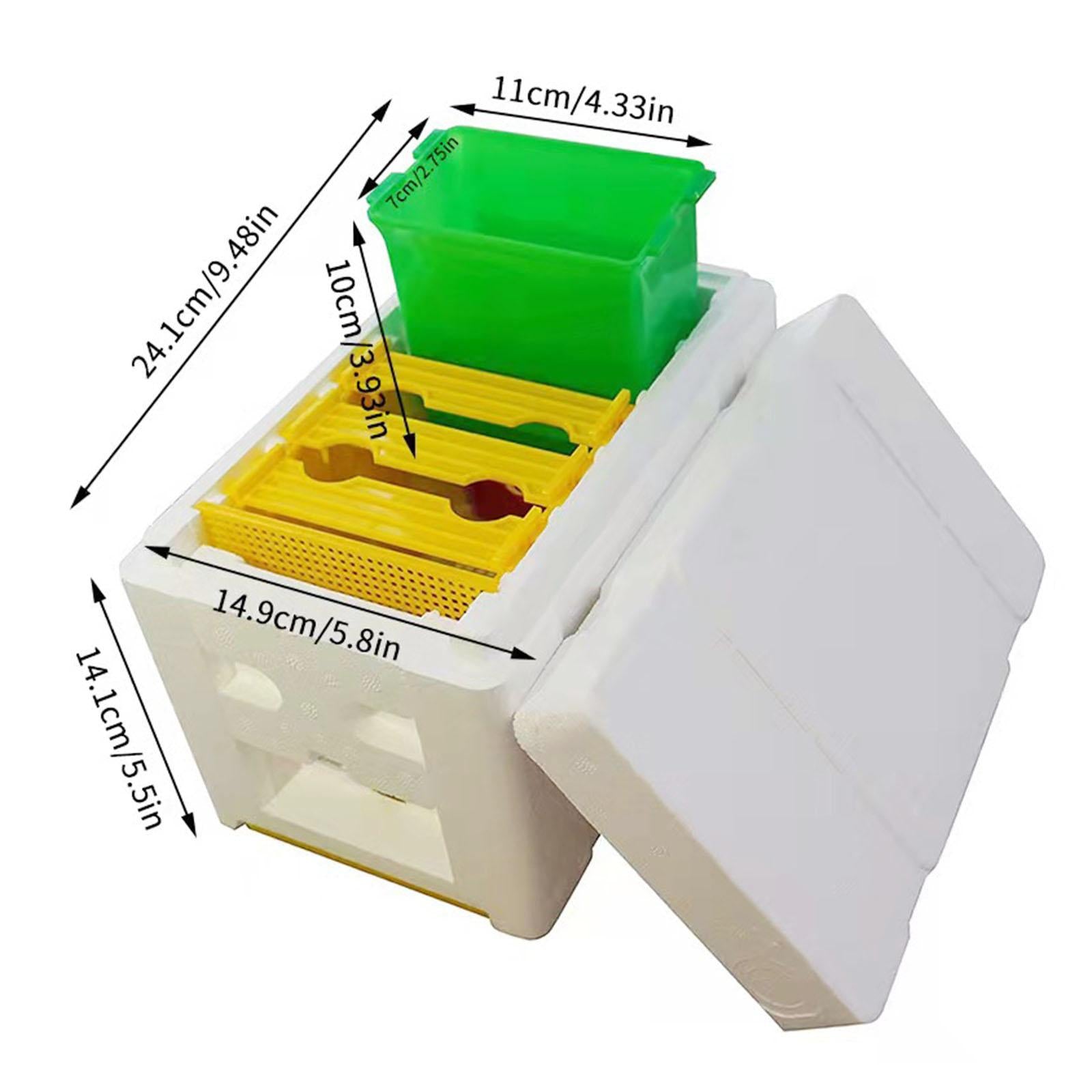 Bee Pollination Box Queen Bee Rearing System Hive Frames DIY Beekeeping