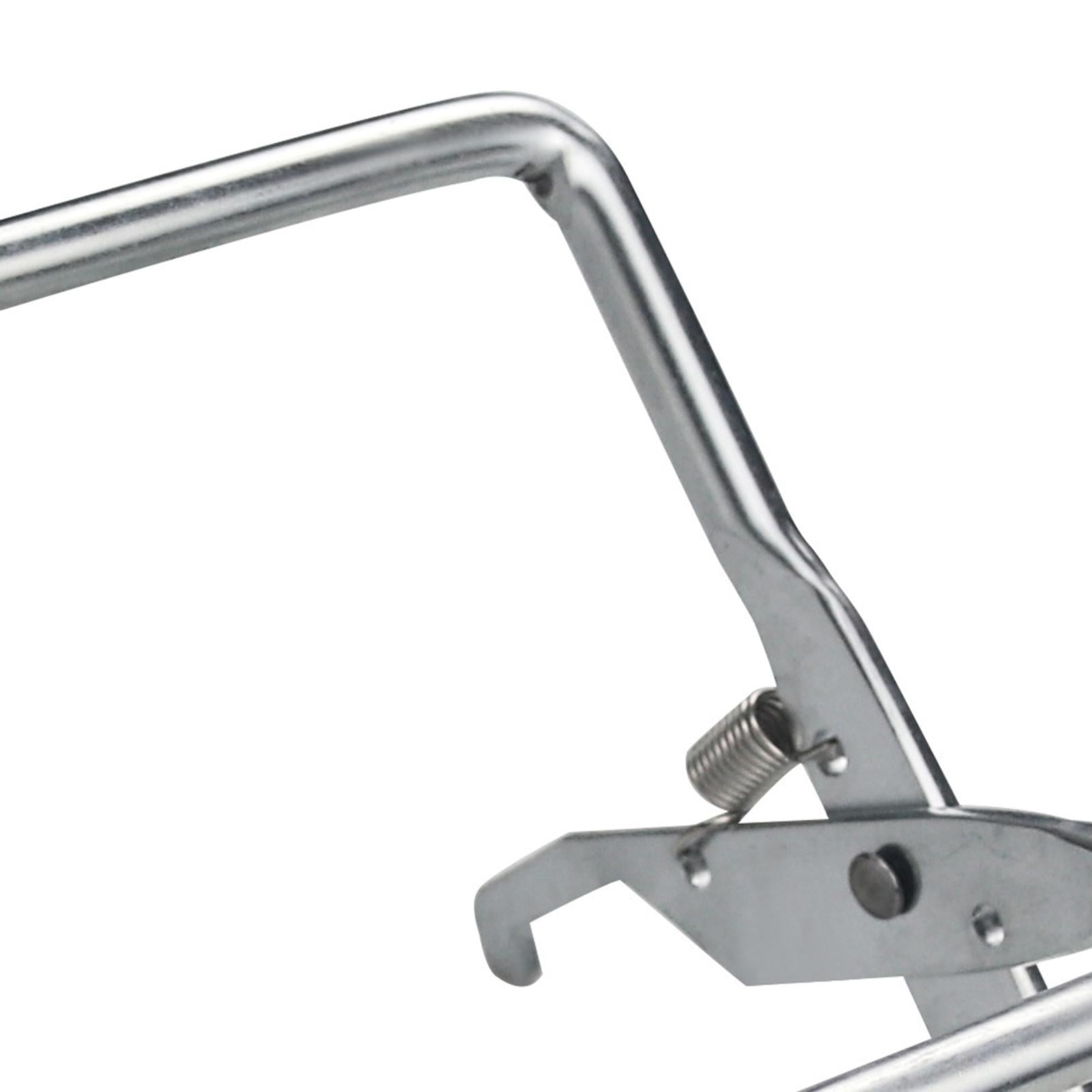 Beekeeping Frame Lift Bracket Stainless Steel Gripper Capture Tool Durable
