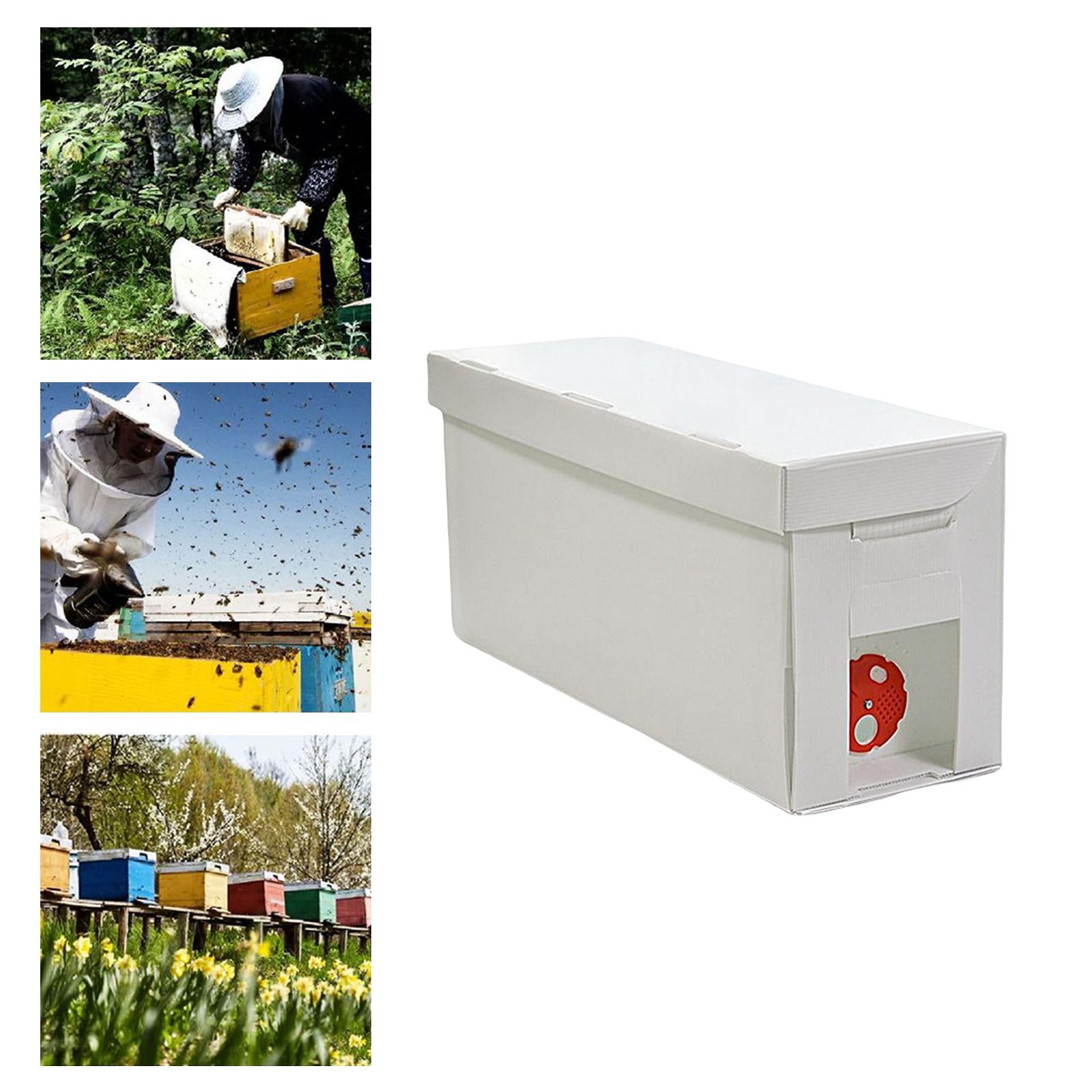 Queen Bee Rearing System DIY Beekeeping Beekeepers Tool Complete Beehive