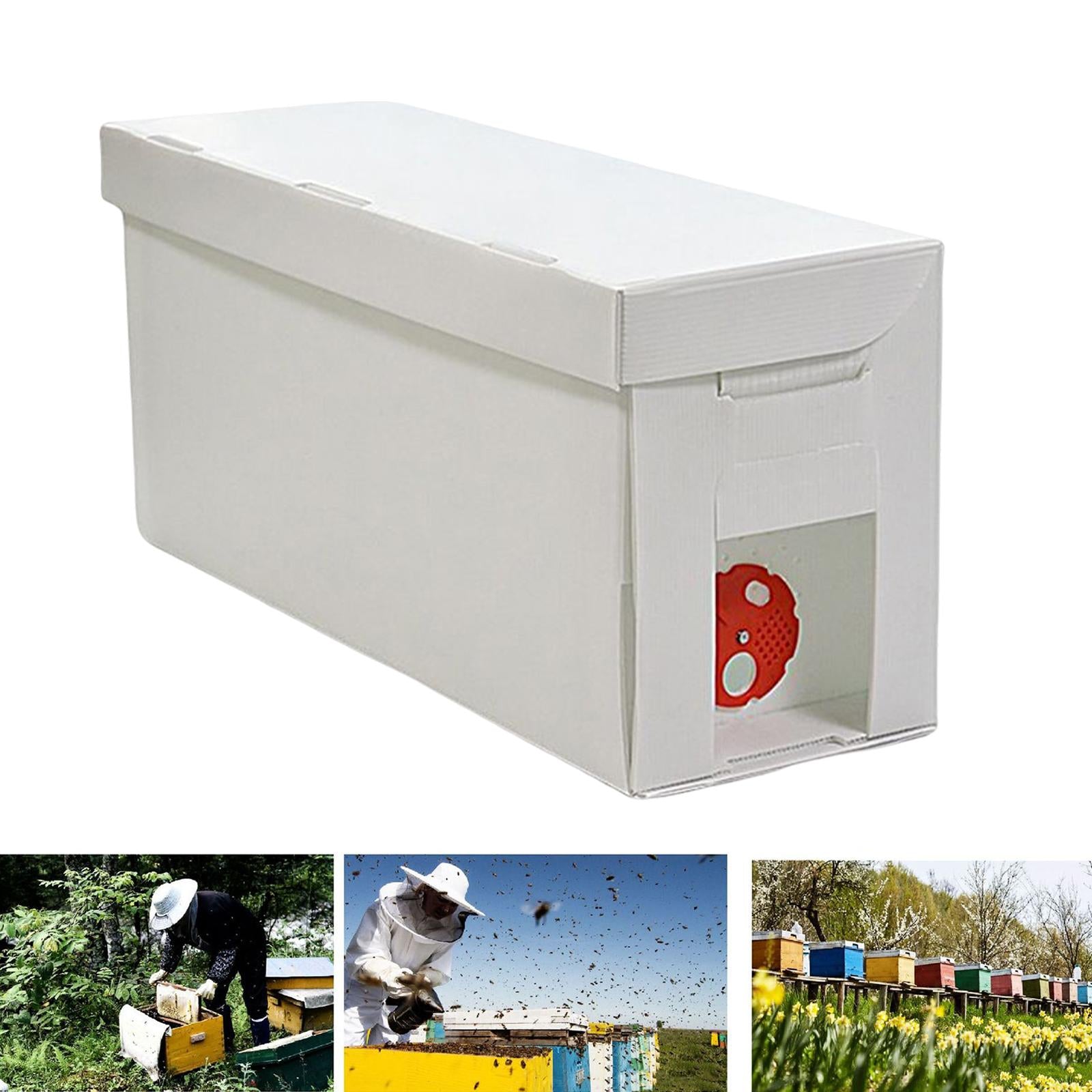 Queen Bee Rearing System DIY Beekeeping Beekeepers Tool Complete Beehive