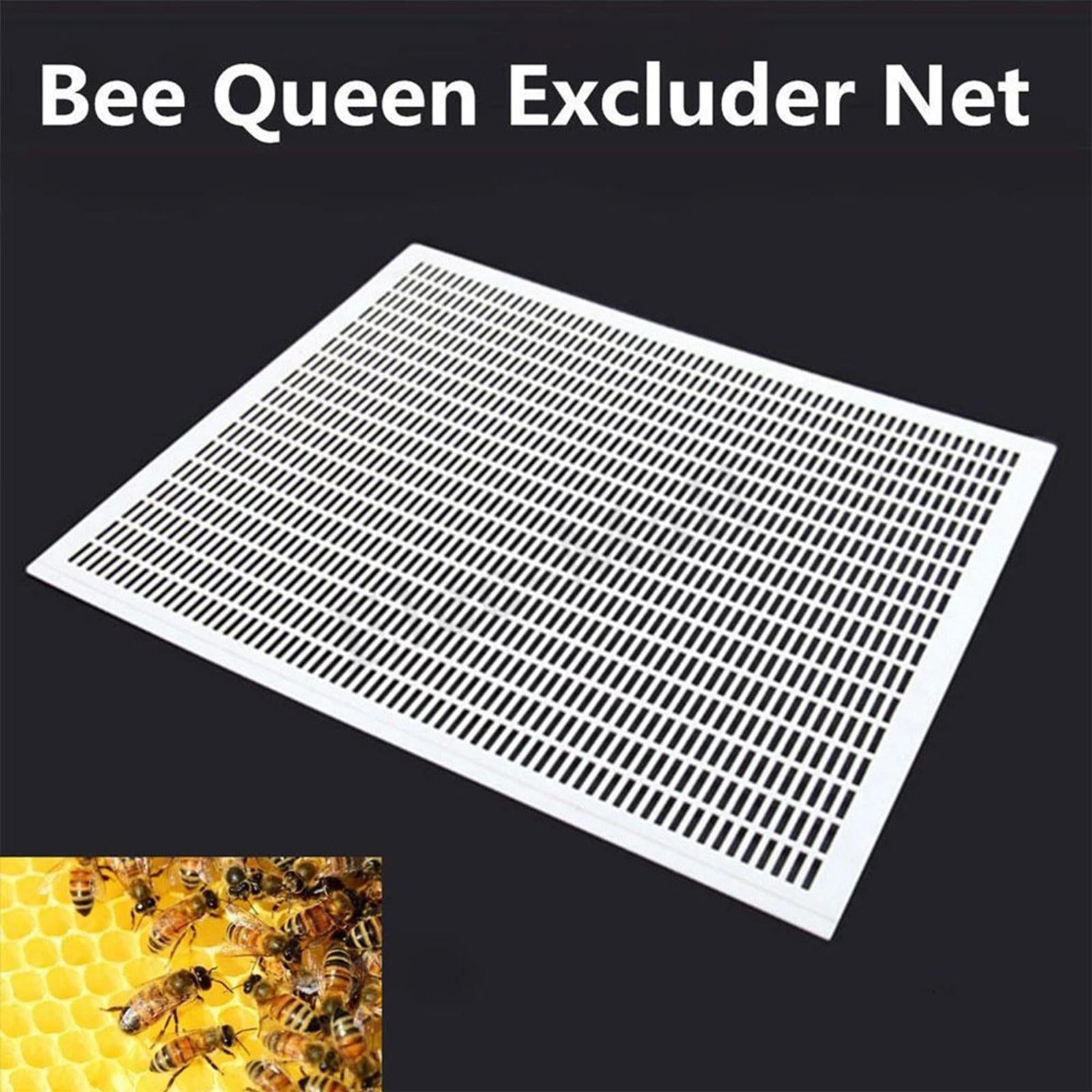 Practical 10 Frame Queen Bees Excluder Easily Clean Backyard Accessories White