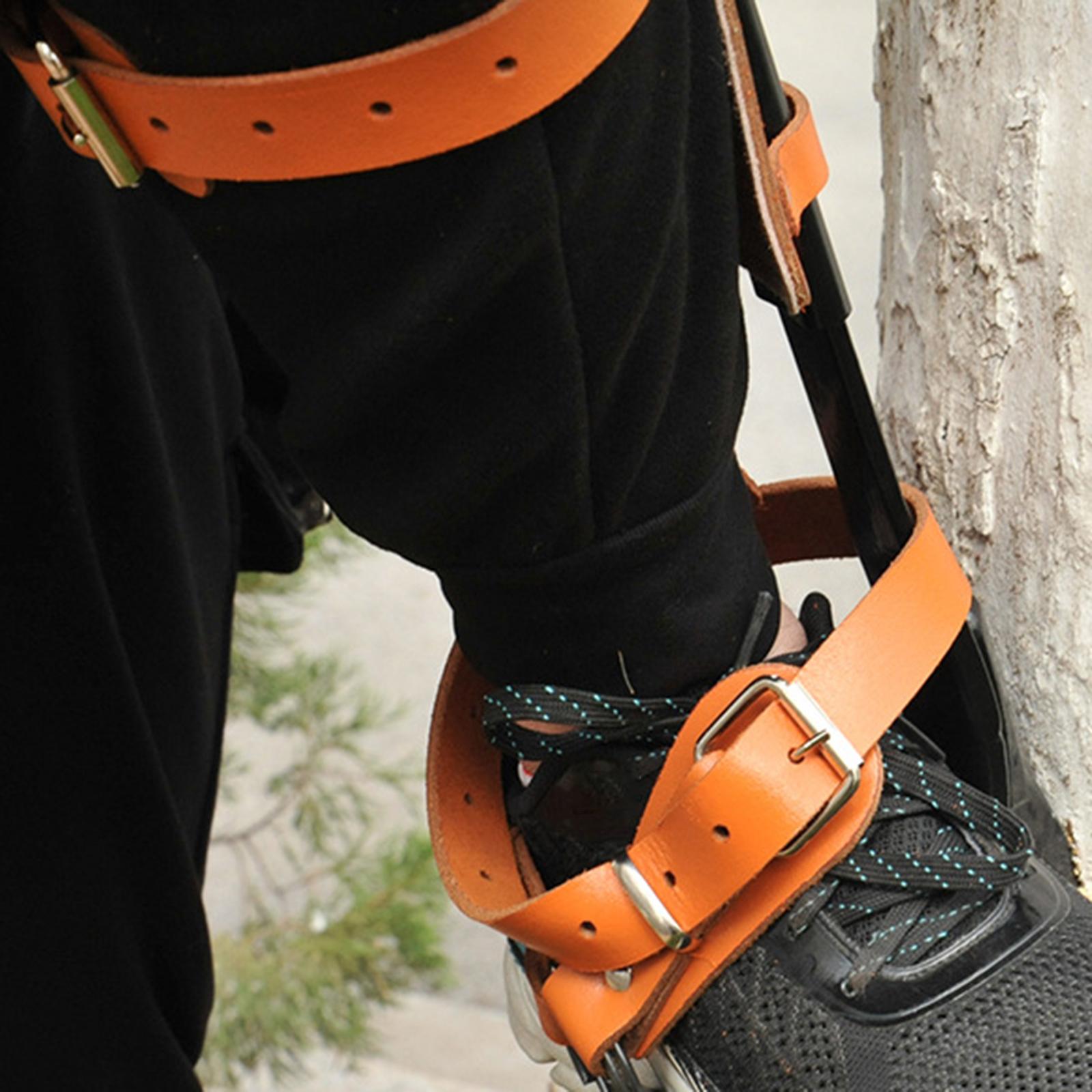 Tree Climbing Spike Straps for Climbing Tree Cutting Tree Jungle Survival