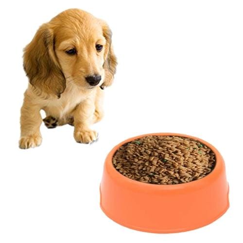 Dog Cat Light Candy Color Plastic Material Single Pets Bowls (Orange)