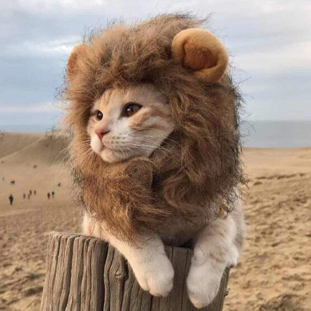Cat Lion Mane Pet Lion Costume Pet Lion Hair Wig for Dogs - L