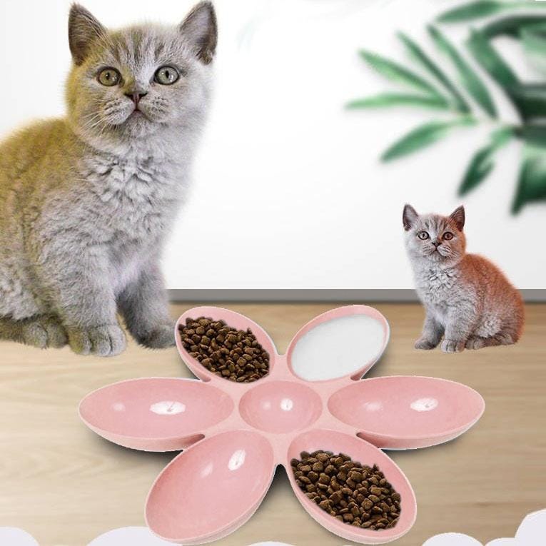 Cat and Dog Bowl Teddy Short Rice Bowl Family Pets Six-sided Petal Type Pet Supplies (Pink)