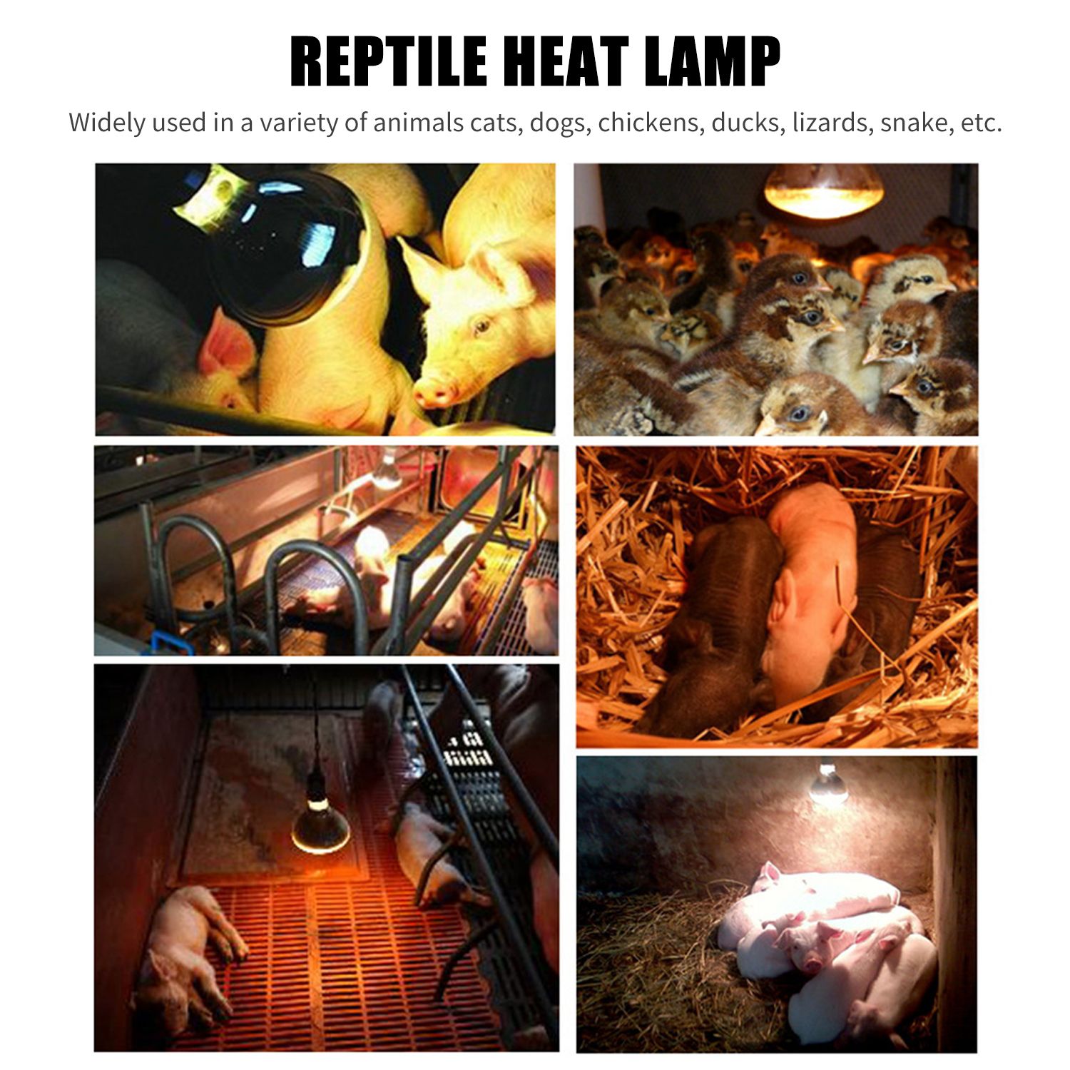 200W Reptile Heat Lamp Amphibian Heat Emitter Brooder Coop - 200W type 2