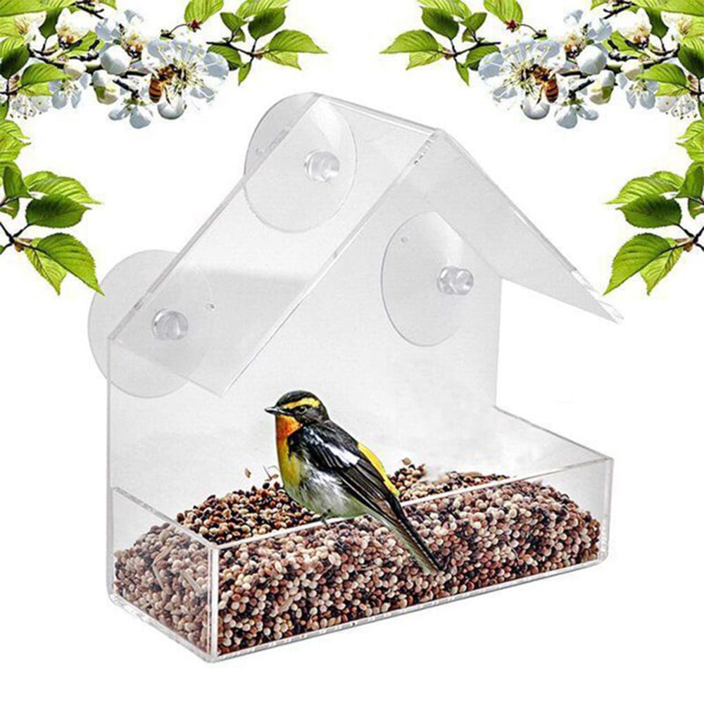 Bird Feeder Window Parrot Food Feeder Bird Feed Box Outdoor
