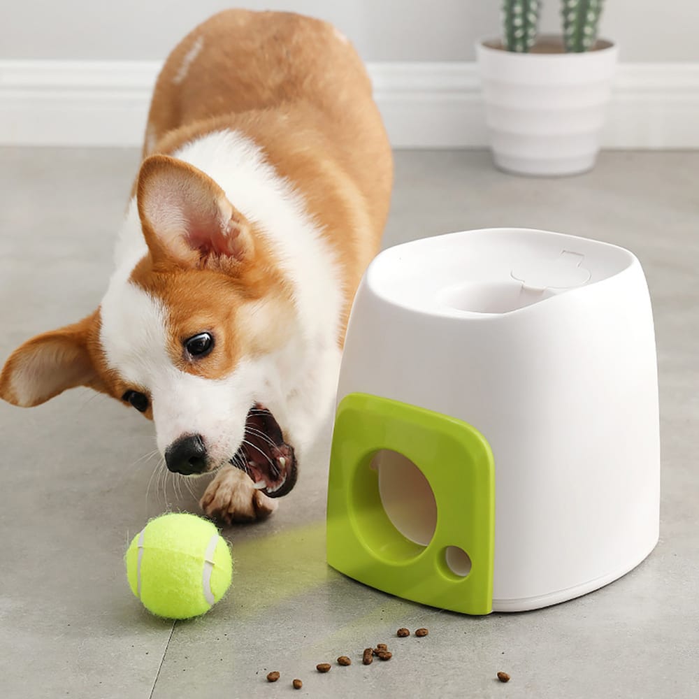 Automatic Interactive Ball Launcher Dog Training Toys