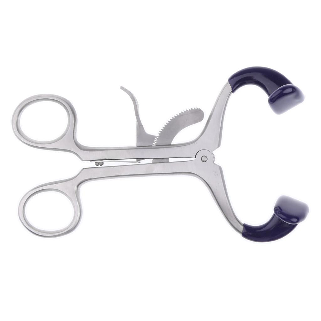 Large Dental Molt Mouth Gag  Instruments Mouth Opener Retractor