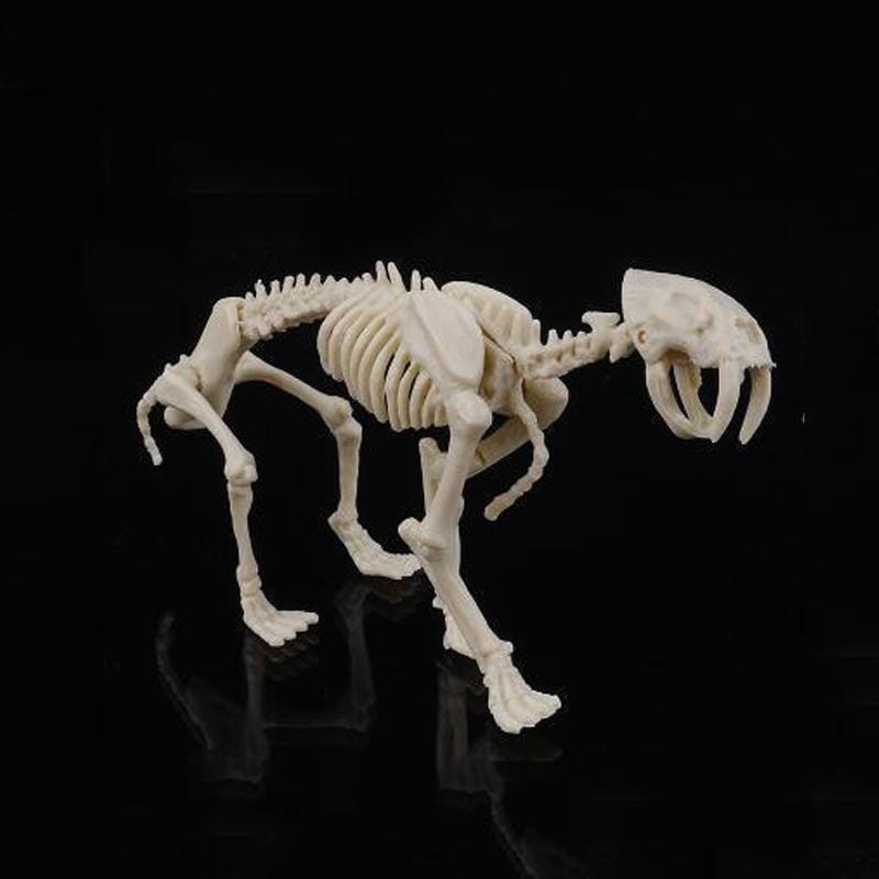 Creative DIY Excavation Archeological Dinosaur Toy Fossil Puzzle Children Handmade Dinosaur Skeleton Model (Saber-toothed Tiger)