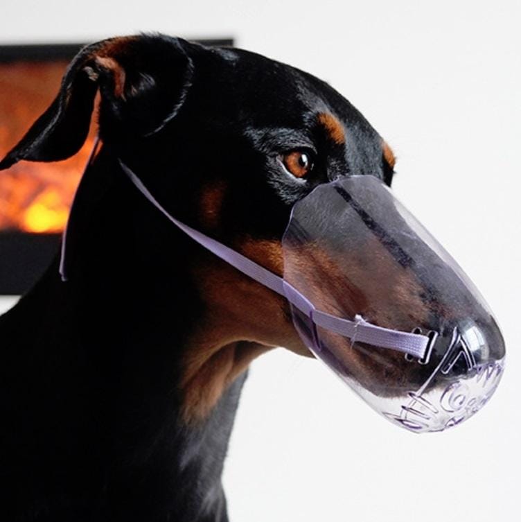 Pets Bathing Injection Anti-Bite Transparent Muzzle, Size:L