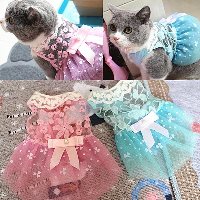AB060 Lovely Cat Dress Lace Wedding Skirts Dresses for Pets Party Costume, Size:M (Blue)
