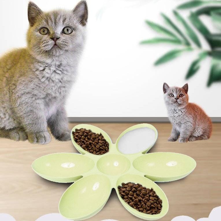 Cat and Dog Bowl Teddy Short Rice Bowl Family Pets Six-sided Petal Type Pet Supplies (Green)