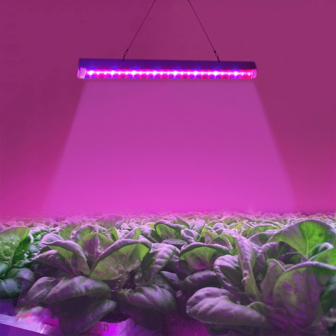 T5 4.8W Red Light + Blue Light LED Plant Growth Light, 24 LEDs Greenhouse Light Aquarium Light (Style1)