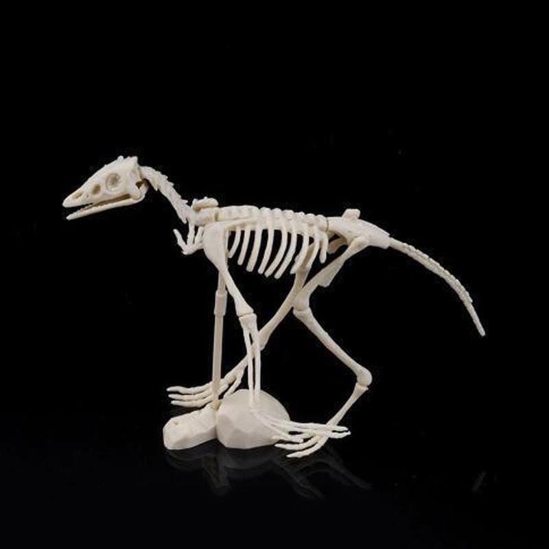 Creative DIY Excavation Archeological Dinosaur Toy Fossil Puzzle Children Handmade Dinosaur Skeleton Model (Archaeopteryx)