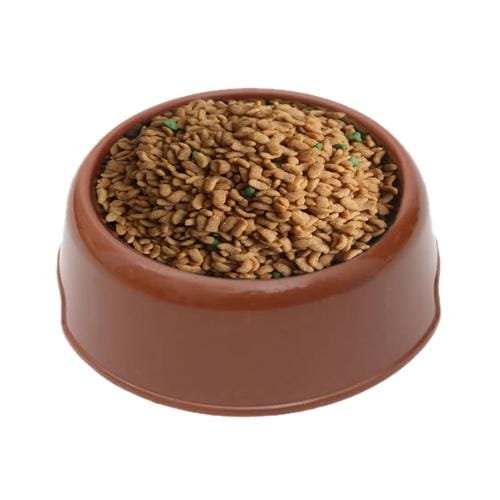 Dog Cat Light Candy Color Plastic Material Single Pets Bowls (Orange)
