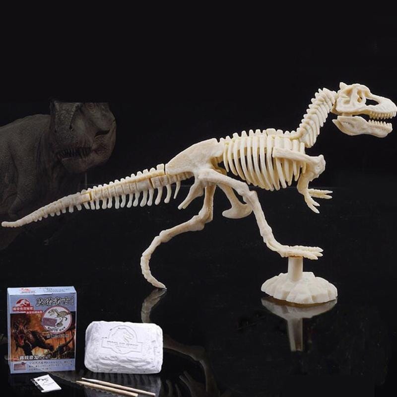 Creative DIY Excavation Archeological Dinosaur Toy Fossil Puzzle Children Handmade Dinosaur Skeleton Model (Saber-toothed Tiger)