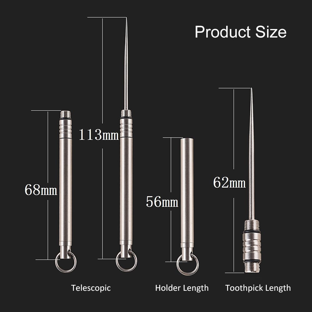 Titanium Alloy Toothpick Set Teethpick Holder with Key Ring